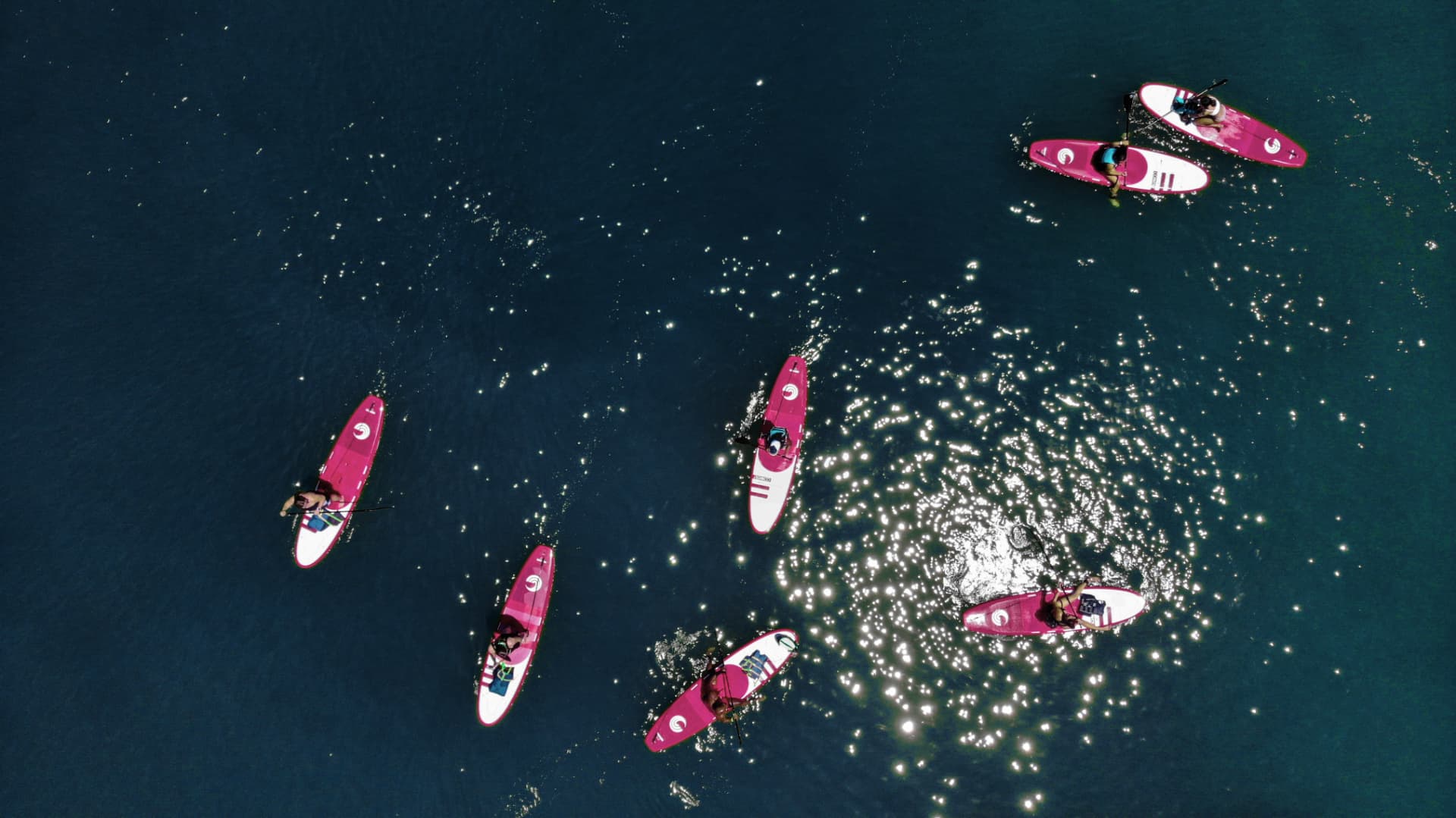 Starboard paddleboards on the water